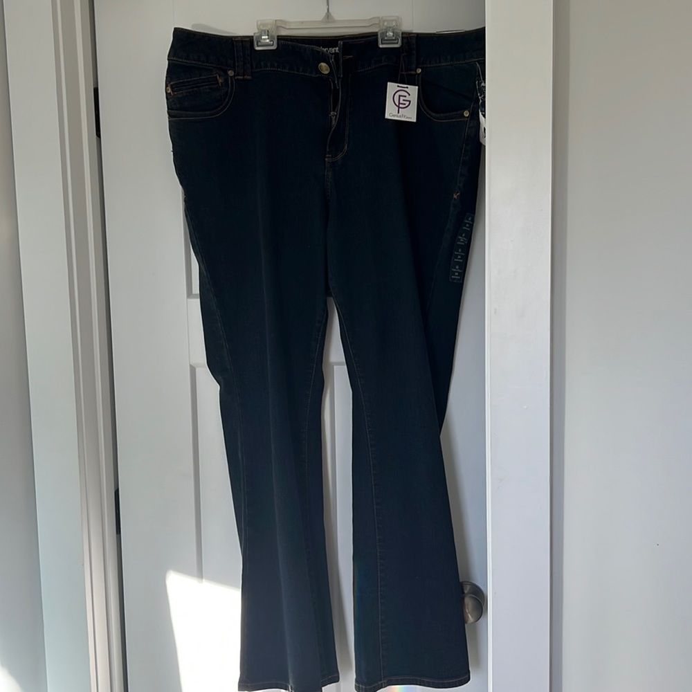 Lane Bryant jeans